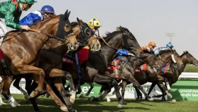 سباقات الخيل بنجران